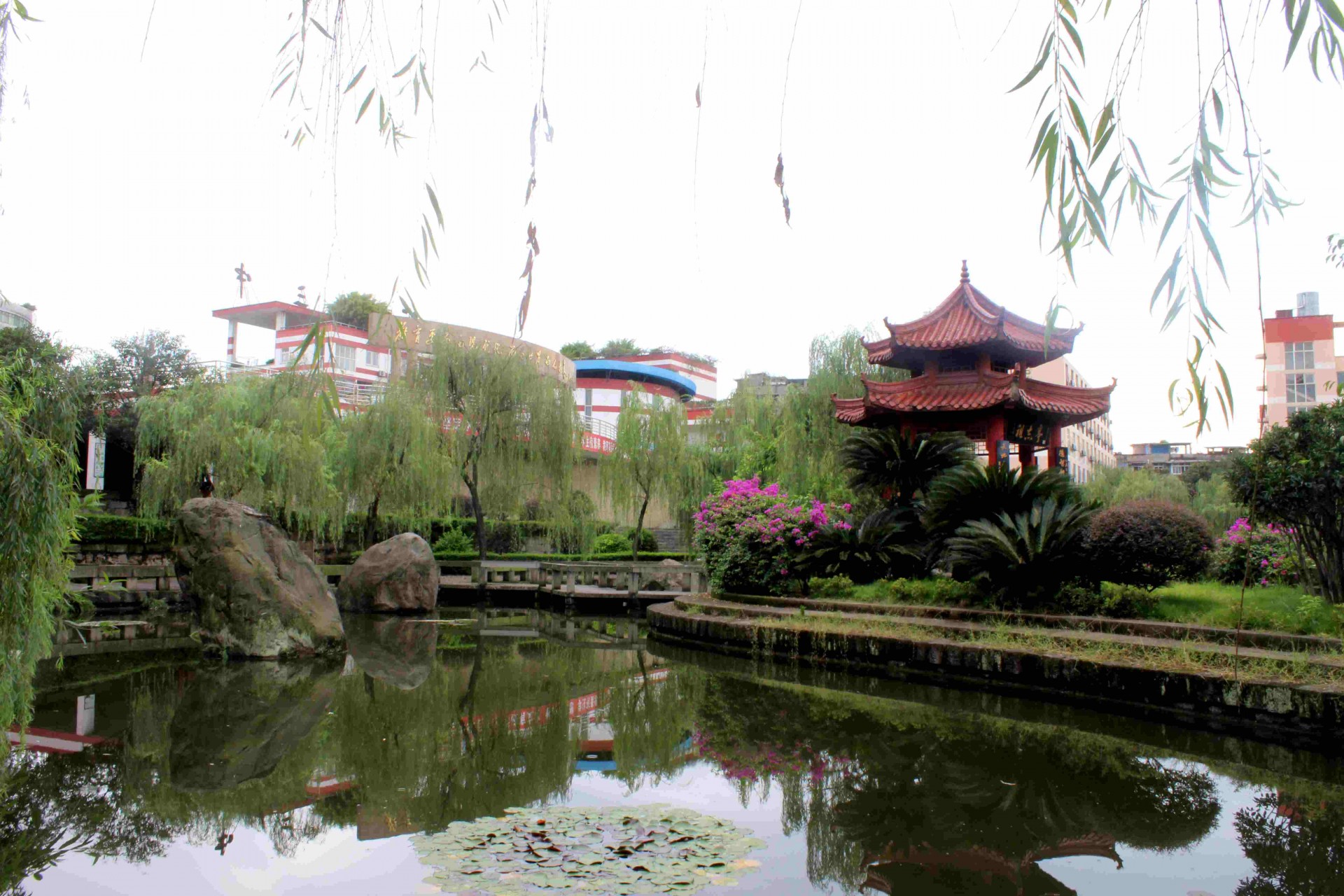 新宜宾三中,谢谢你三个字的歌词