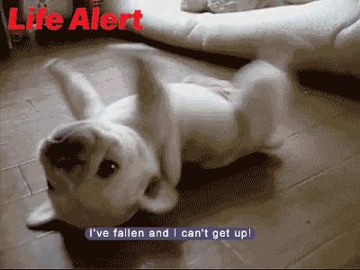 包子女,包子女孩是怎样的女孩