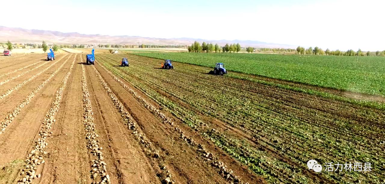 「媒体报道·赤峰日报」又踏层峰望眼开—林西县经济社会发展纪实
