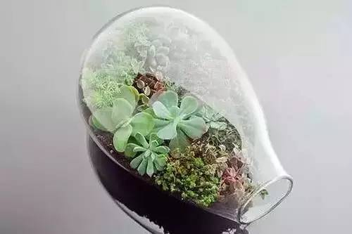 教你巧制精美花盆,做花盆大全简单方法