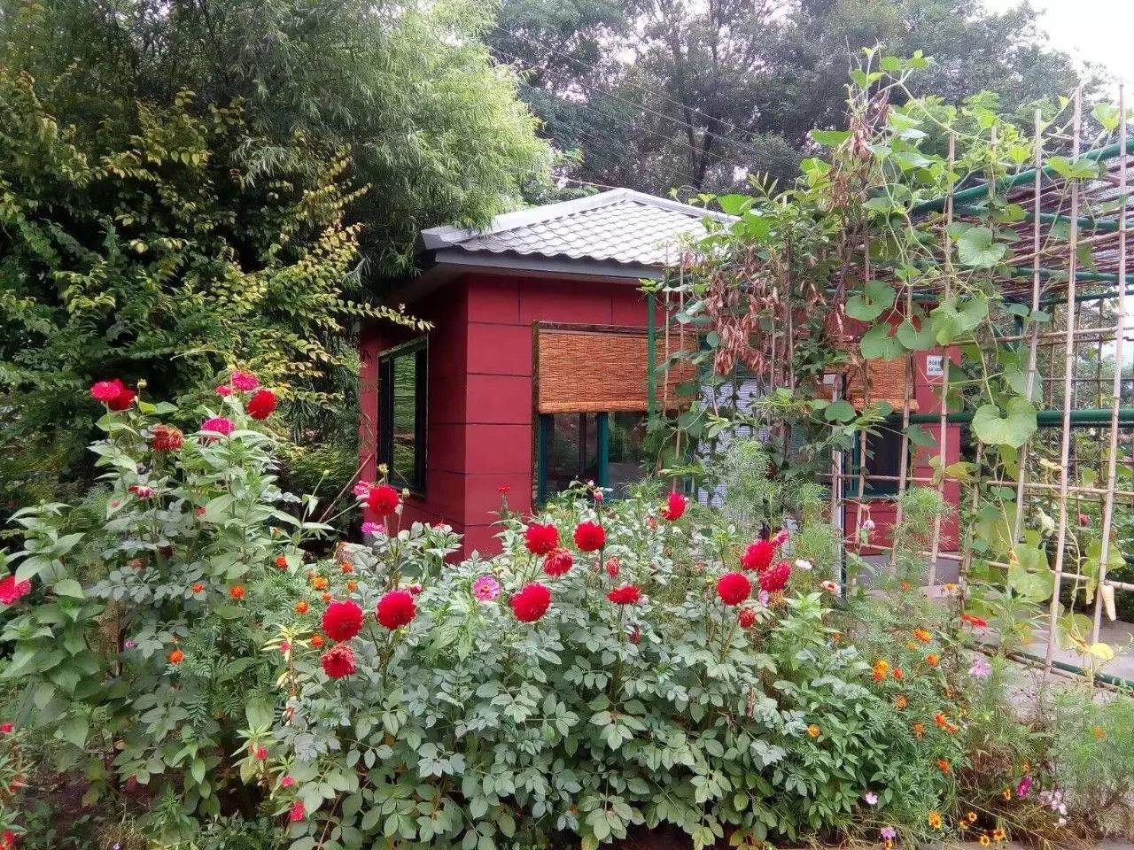 抓住暑假尾巴来一波,抓住暑假的尾巴来钓鱼