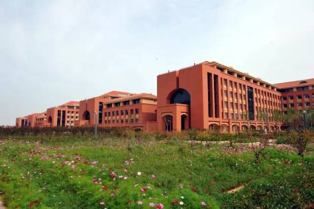 青岛的魅力有多大,青岛很有文化底蕴