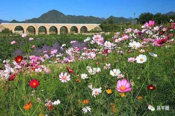 昌平约会公园,昌平万科悦荟约会