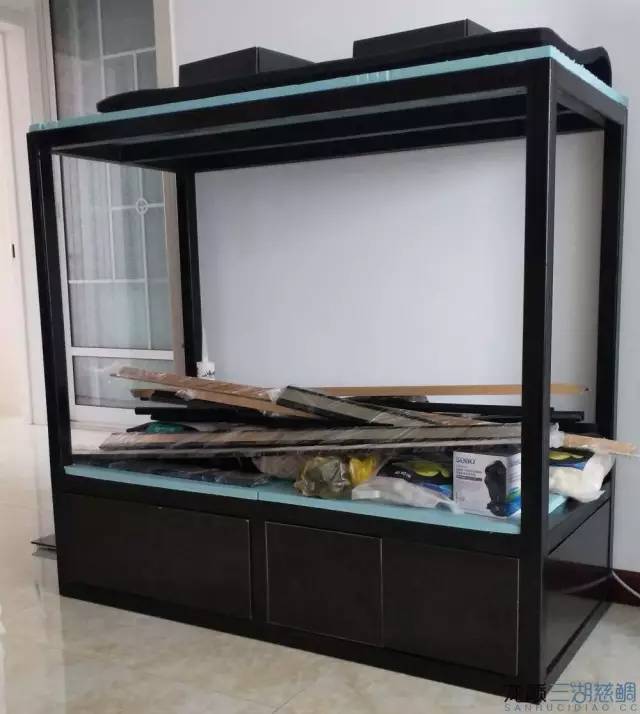 从零开始原生缸,从零开始造景缸