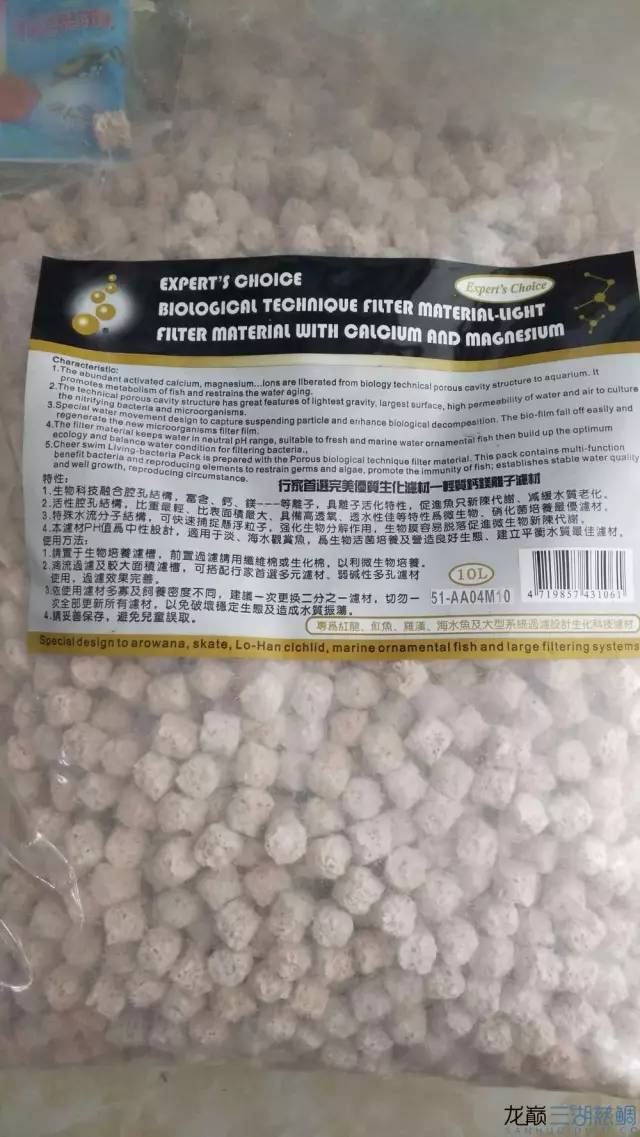 从零开始原生缸,从零开始造景缸