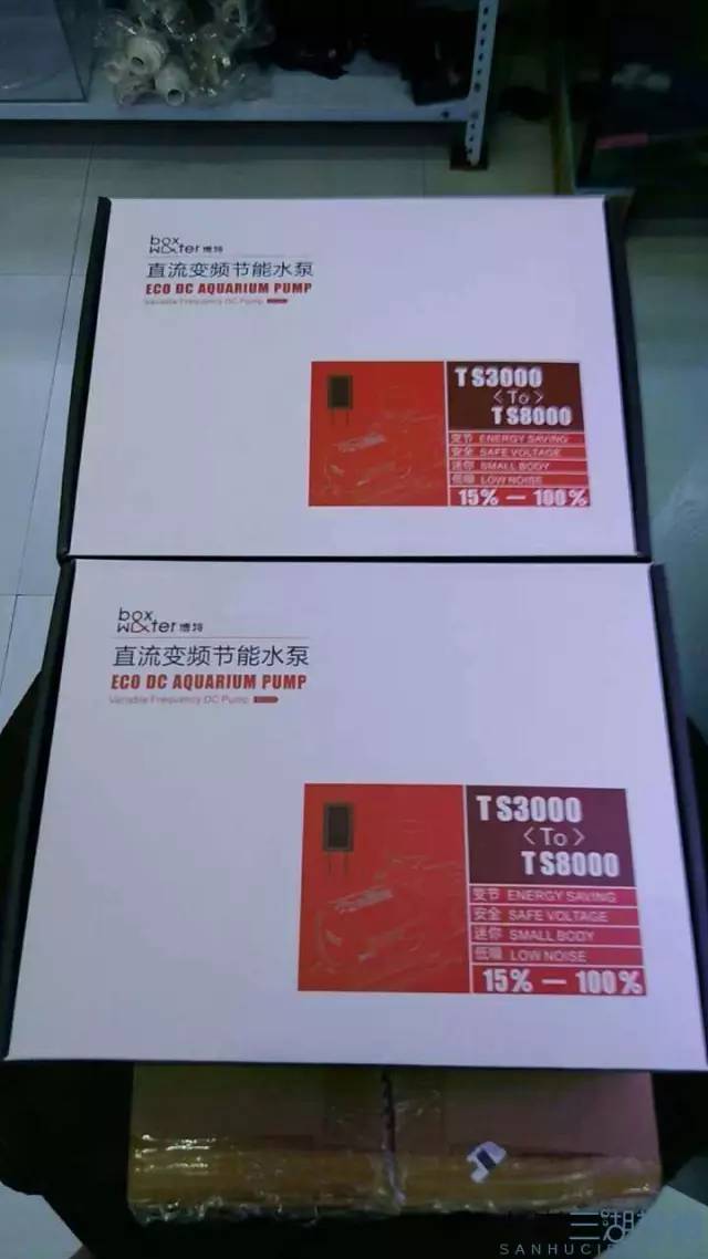 从零开始原生缸,从零开始造景缸