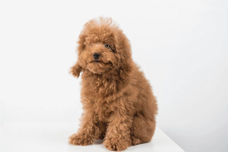 男朋友送你口红100支,男朋友一支口红都不宁愿送你