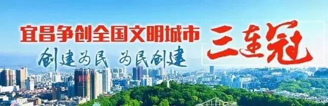 老年人反欺诈典型案例,老年人反欺诈宣传案例