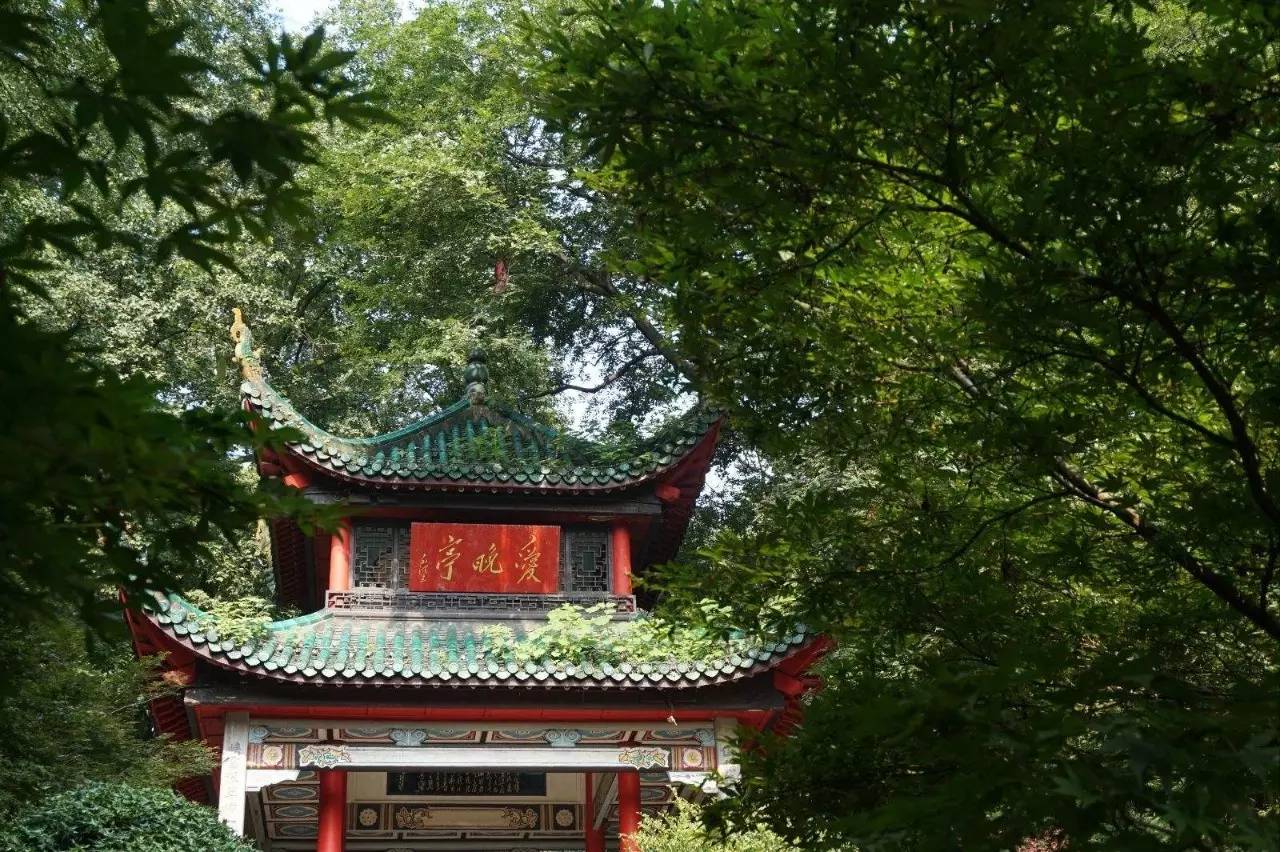 最低只要99！9月南京白菜价机票都在这了！