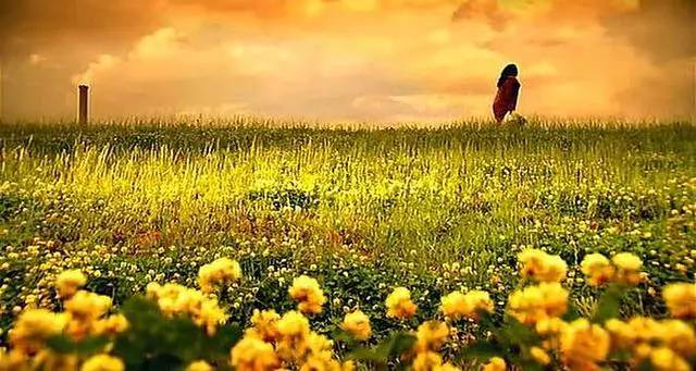 金酒黑历史大全,金酒的黑历史