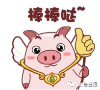 九旬老太与儿子共同出院,九旬老人突发心梗十天康复出院