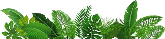 央企校园招聘岗位,校园招聘最好十大央企