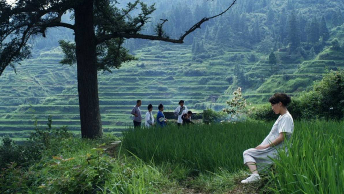 最新影讯电影排期,最新影讯8月最值得期待的影片