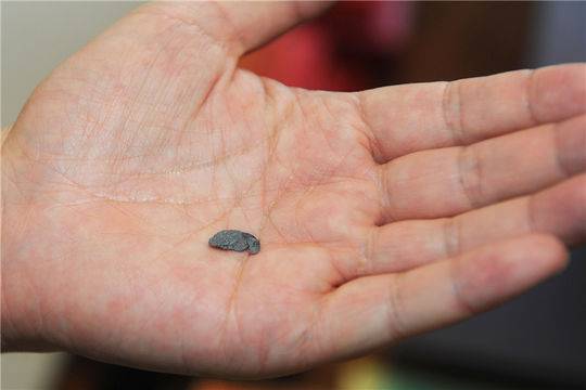 新四军老兵死亡,新四军老兵去世