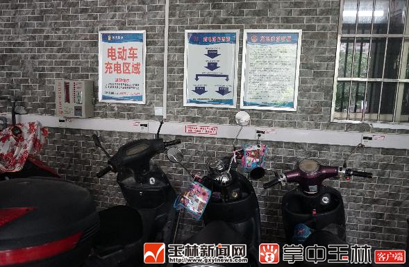 广西特产排名前十名品种,广西玉林的十大名茶