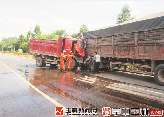 广西特产排名前十名品种,广西玉林的十大名茶