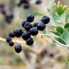 曝光骗子的钱犯法吗,三无产品坑人的产品千万不要