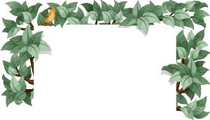 徐医附院美容中心整形案例,徐医附院整形美容中心祛痣