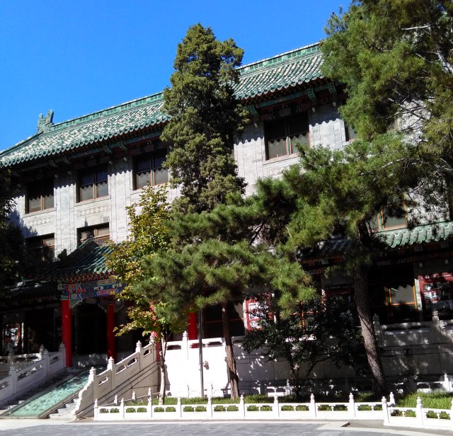 生来就是一个吃货｜浮想联翩解剖学第二弹