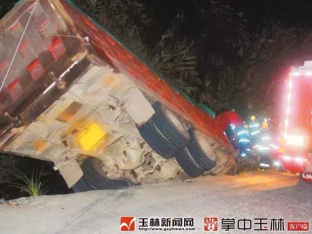 广西特产排名前十名品种,广西玉林的十大名茶