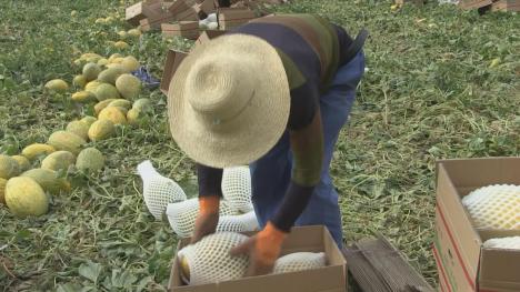 致富路上，不能让少数民族兄弟“掉队”