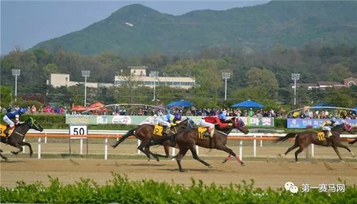 韩国公开赛2023冠军,韩国公开赛首金