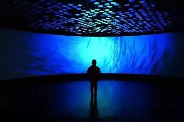 上海一日游古镇最佳路线免费景点,上海周末旅游胜地有哪些