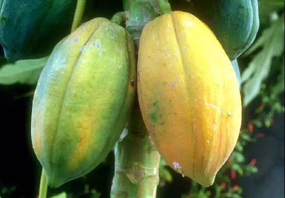 秋色正好邂逅大美河口,美丽的河口一日游