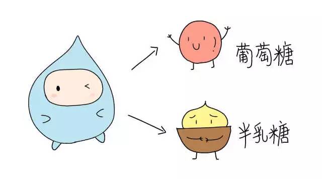 乳糖不耐的人怎么样喝纯牛奶,乳糖不耐受能够喝0脂肪牛奶吗