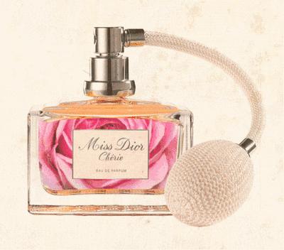 教师节特惠！你的身上，应有世纪君的香水味（阅读原文有惊喜）