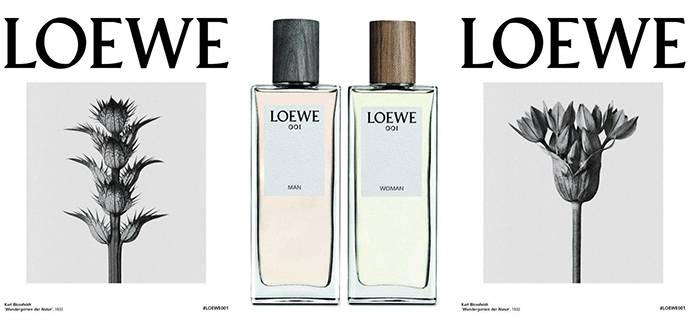 香水控朋友圈,香水控私藏