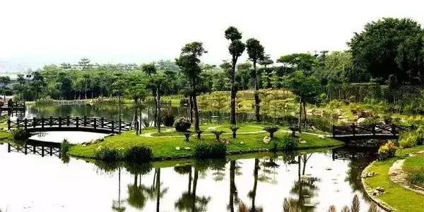 上海一日游古镇最佳路线免费景点,上海周末旅游胜地有哪些