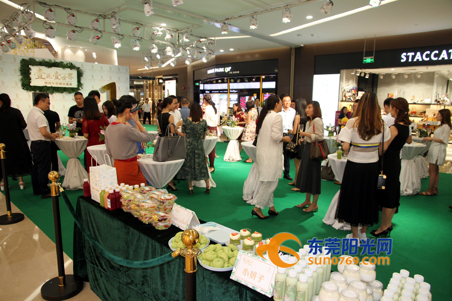 东莞海德壹号广场x11店,东莞海德壹号广场新开的展会