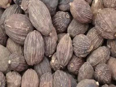 秋色正好邂逅大美河口,美丽的河口一日游