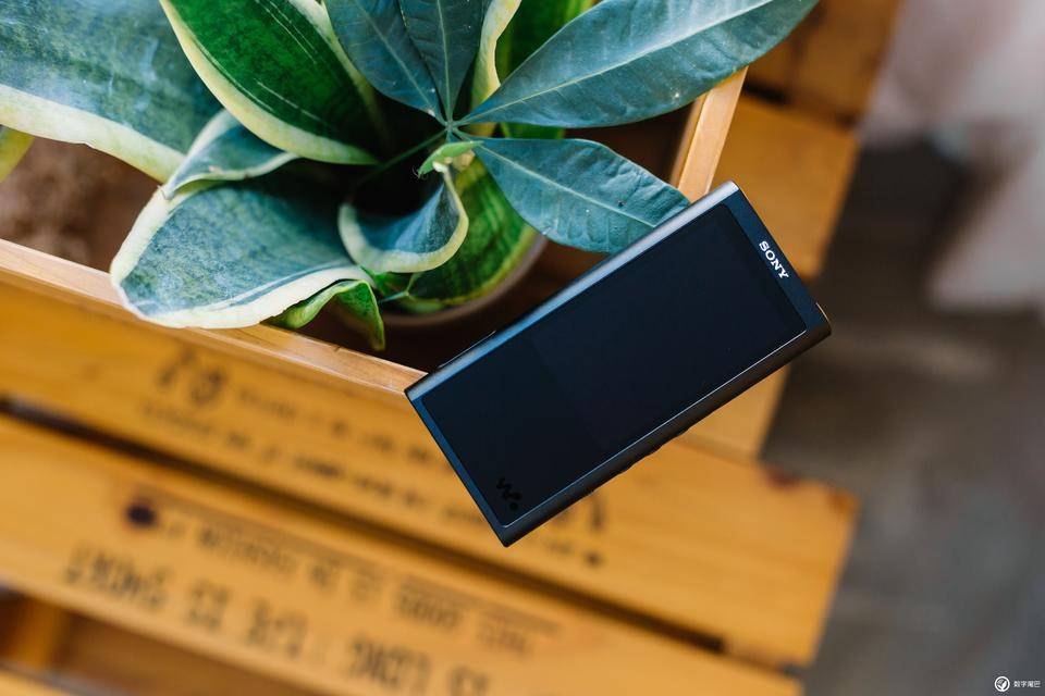 索尼walkmana300测评,索尼nw-a306和zx300a哪个好