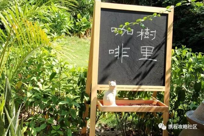 鼓浪屿小众景点大全,鼓浪屿上小众而安静的住宿