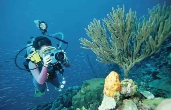 广西地质公园,广西世界地质公园