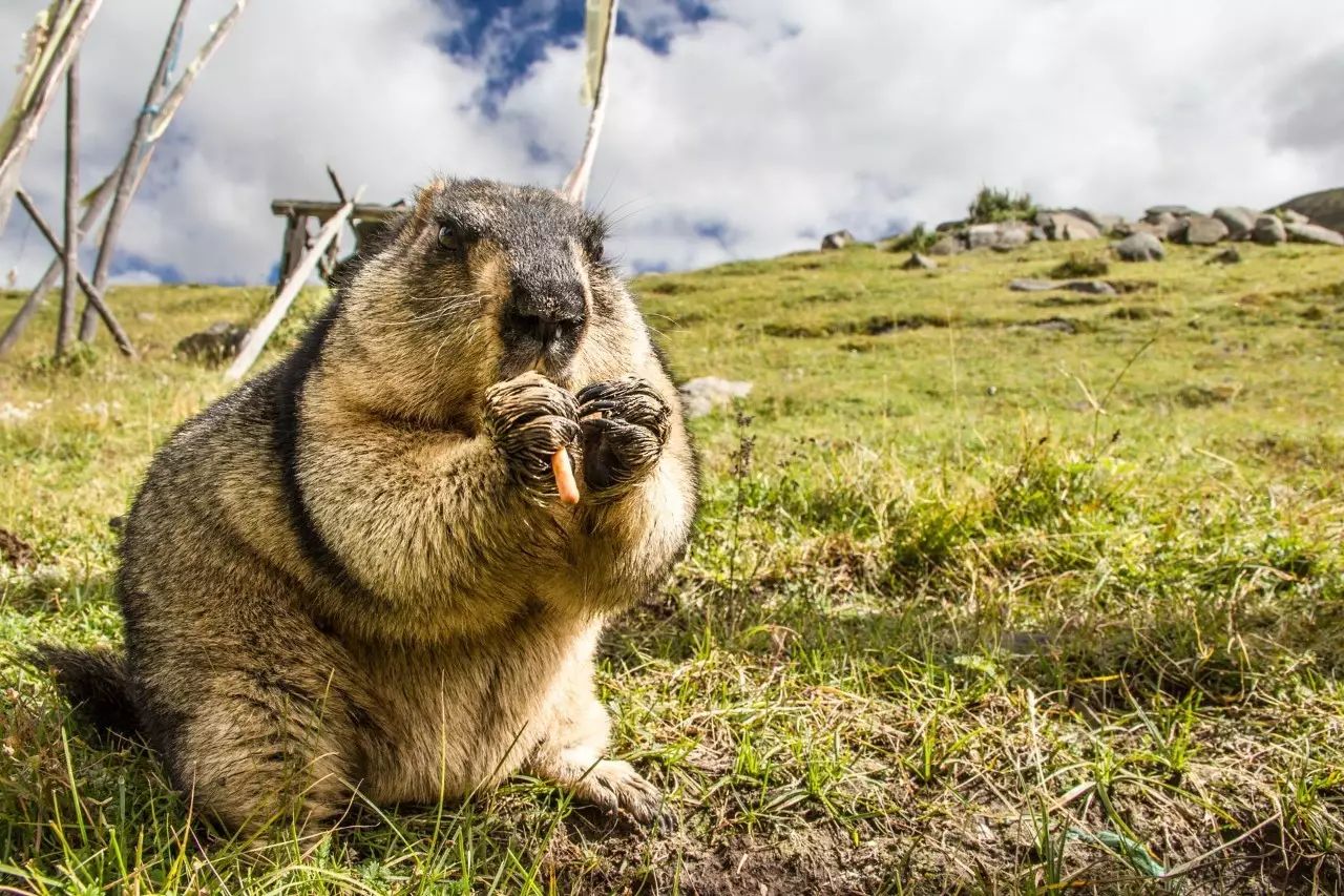 旅游攻略安静,人少风景好的偏冷门旅游地