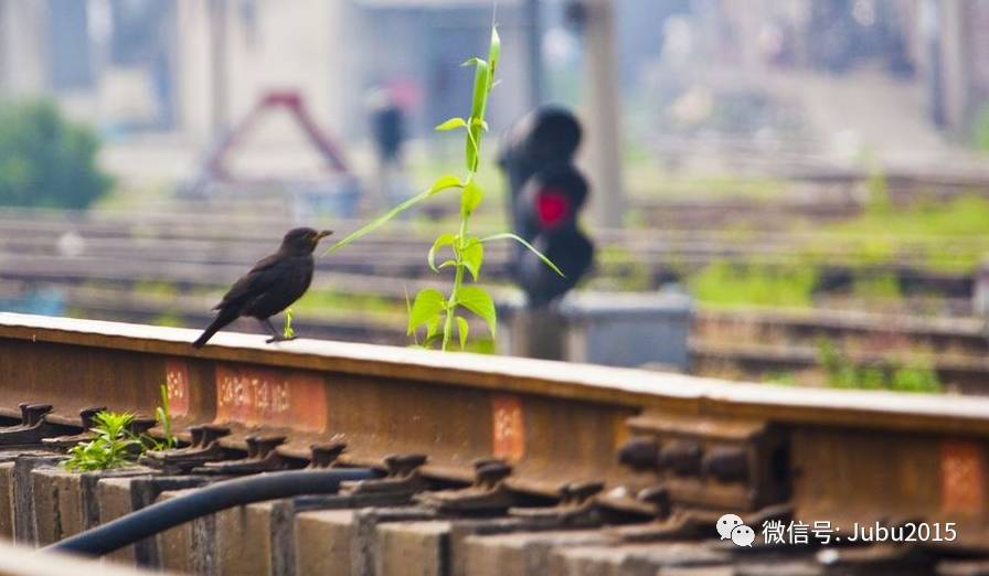 对微店的理解和认识,刚开始做微店会遇到的问题