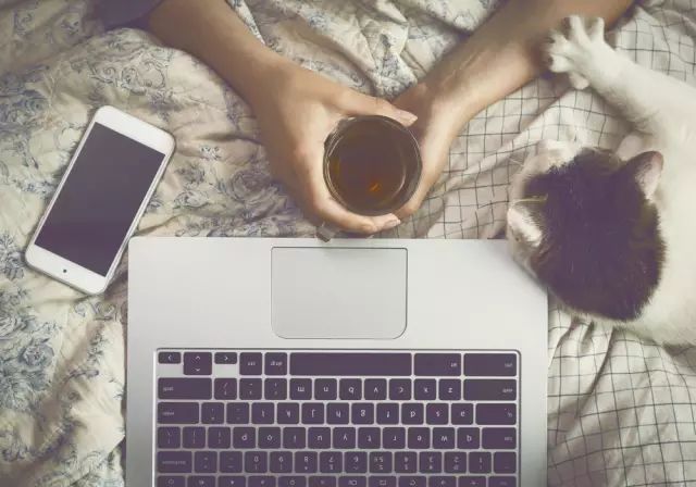 电脑上显示一只猫敲键盘,怎样用手机键盘打出一只猫