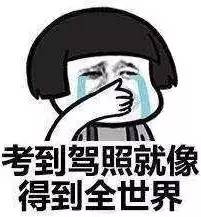 2022年东莞驾考停考时间安排,东莞现在能够驾考了吗最新消息