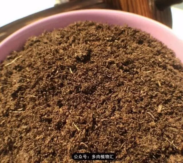 韩国如何养多肉,家庭养多肉用什么施肥