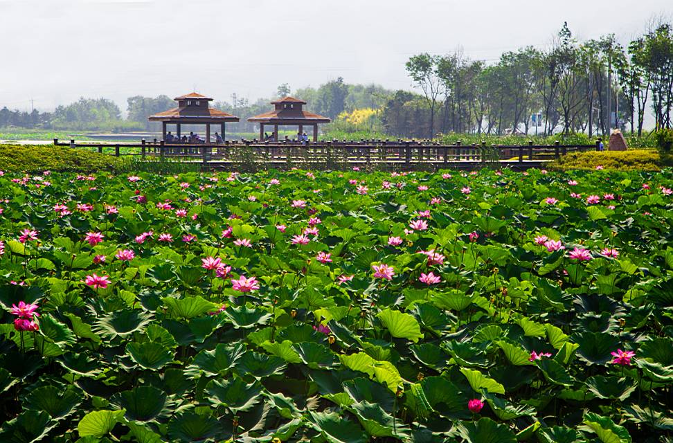 听说翻山越岭才能见到你,听说看懂了就能告捷