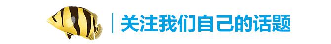 龙鱼饲料训练,龙鱼喂养视频无解说
