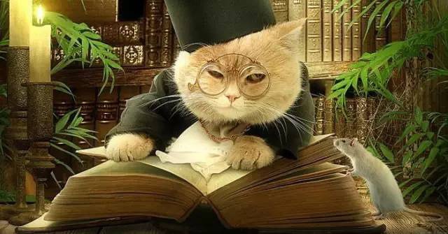 豆瓣高效写作技巧,豆瓣写日记的技巧