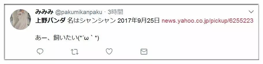 熊猫宝宝起名字是怎么由来的,2021年所有熊猫宝宝名字