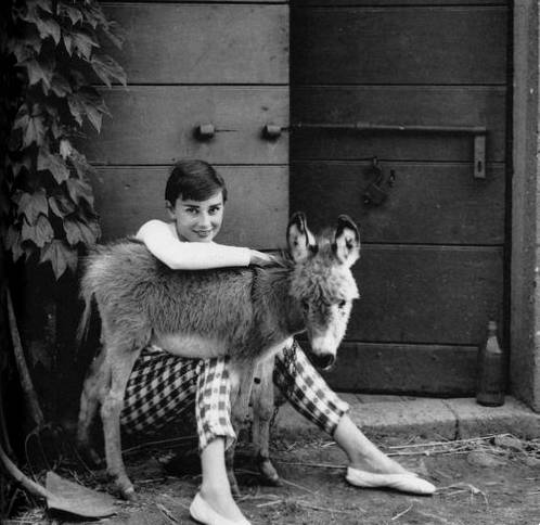 赫本风芭蕾鞋,赫本穿了40年芭蕾鞋