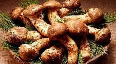 延边特产合适送人的食品,延边值得买的东西清单