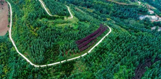 西安不用开车合适去玩的地方,西安周边秋天一日游最佳景点推荐