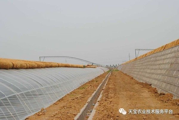 新型温室大棚哪种造价最低,温室大棚的种类及优点